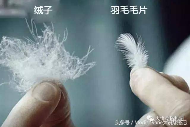 羽绒服选购全攻略 这份最全宝典你怎能不知？
